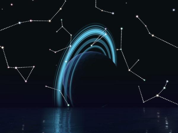 Constellations – Wolfoshi, French Furry Exploring Worlds in VR