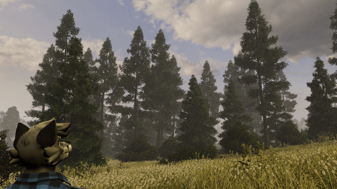 Post Apocalyptic World